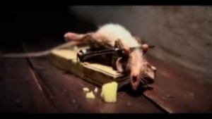 Y&ouml;y, bald is wieder Mondach | Lustiges | Was is hier eigentlich los?