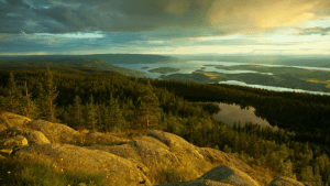 Wie man ein Bier auf macht, ohne es zu ber&uuml;hren | Lustiges, Was gelernt | Was is hier eigentlich los?