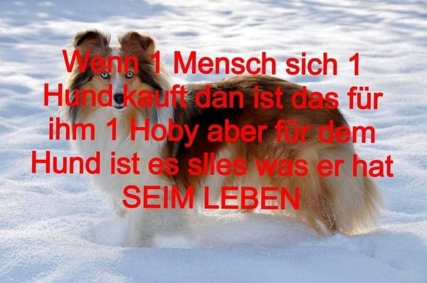 Nachdenkliche Spr&uuml;che mit Bildern - Wie man auf Facebook erfolgreich wird | Lustiges, Was gelernt | Was is hier eigentlich los?