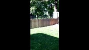 Ein Zaun, der kein Zaun sein wollte | Lustiges | Was is hier eigentlich los?