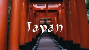 Lifehack: Korken aus der Flasche ziehen | Handwerk, Alltagsgeschichten | Was is hier eigentlich los?