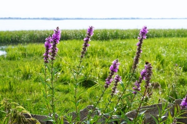 360&deg; &ndash; Das war meine Woche &ndash; KW 33 / 2016 | Alltagsgeschichten | Was is hier eigentlich los?