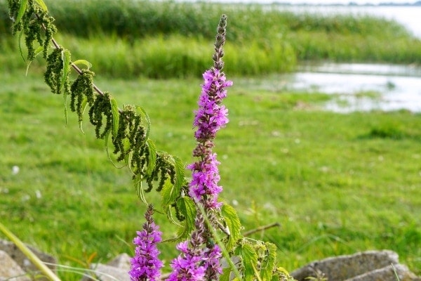 360&deg; &ndash; Das war meine Woche &ndash; KW 33 / 2016 | Alltagsgeschichten | Was is hier eigentlich los?