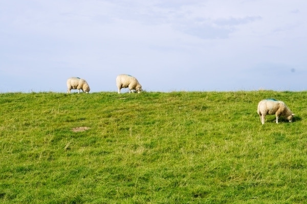 360&deg; &ndash; Das war meine Woche &ndash; KW 33 / 2016 | Alltagsgeschichten | Was is hier eigentlich los?