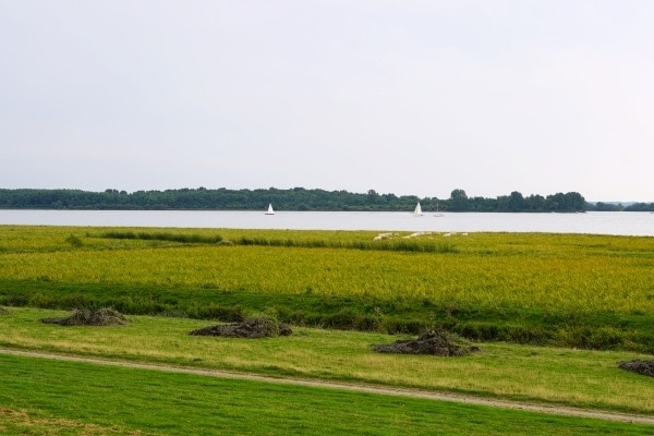 360&deg; &ndash; Das war meine Woche &ndash; KW 33 / 2016 | Alltagsgeschichten | Was is hier eigentlich los?