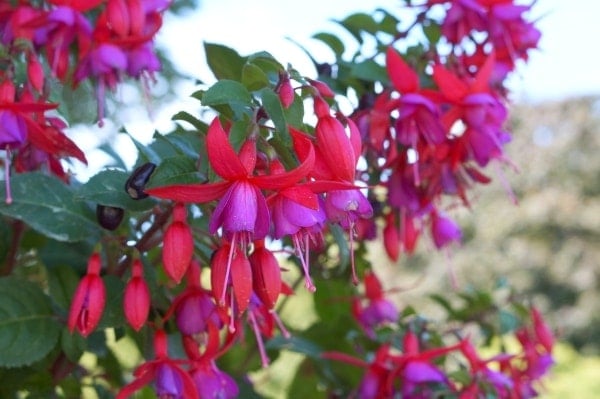 360&deg; &ndash; Das war meine Woche &ndash; KW 35 / 2016 | Alltagsgeschichten | Was is hier eigentlich los?