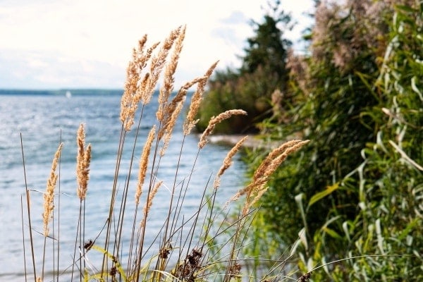 360&deg; &ndash; Das war meine Woche &ndash; KW 39 / 2016 | Alltagsgeschichten | Was is hier eigentlich los?