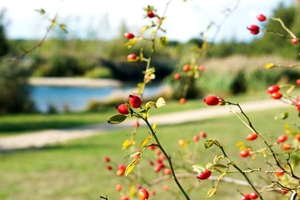 360&deg; &ndash; Das war meine Woche &ndash; KW 39 / 2016 | Alltagsgeschichten | Was is hier eigentlich los?