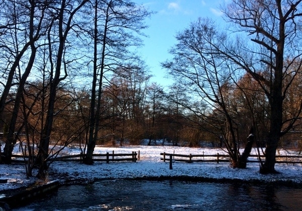 360&deg; &ndash; Das war meine Woche &ndash; KW 03 / 2017 | Alltagsgeschichten | Was is hier eigentlich los?