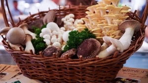 wihel on Tour (04) - "Gut Essen" in der Autostadt in Wolfsburg | Kolumne, Travel | Was is hier eigentlich los?