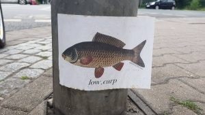 Flachwitz der Woche: Low Carb &ne; Low Carp | Lustiges | Was is hier eigentlich los?
