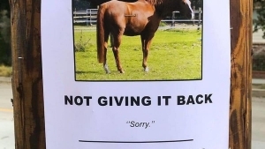 Der sprachlose Mark Zuckerberg | Lustiges | Was is hier eigentlich los?