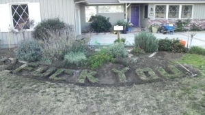 Wer nicht fragt, stirbt dumm: Wann kommt das Laserschwert? | Was gelernt | Was is hier eigentlich los?