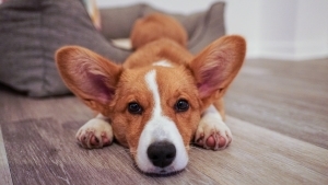 Wir alle kennen diesen Moment oder? | Lustiges | Was is hier eigentlich los?