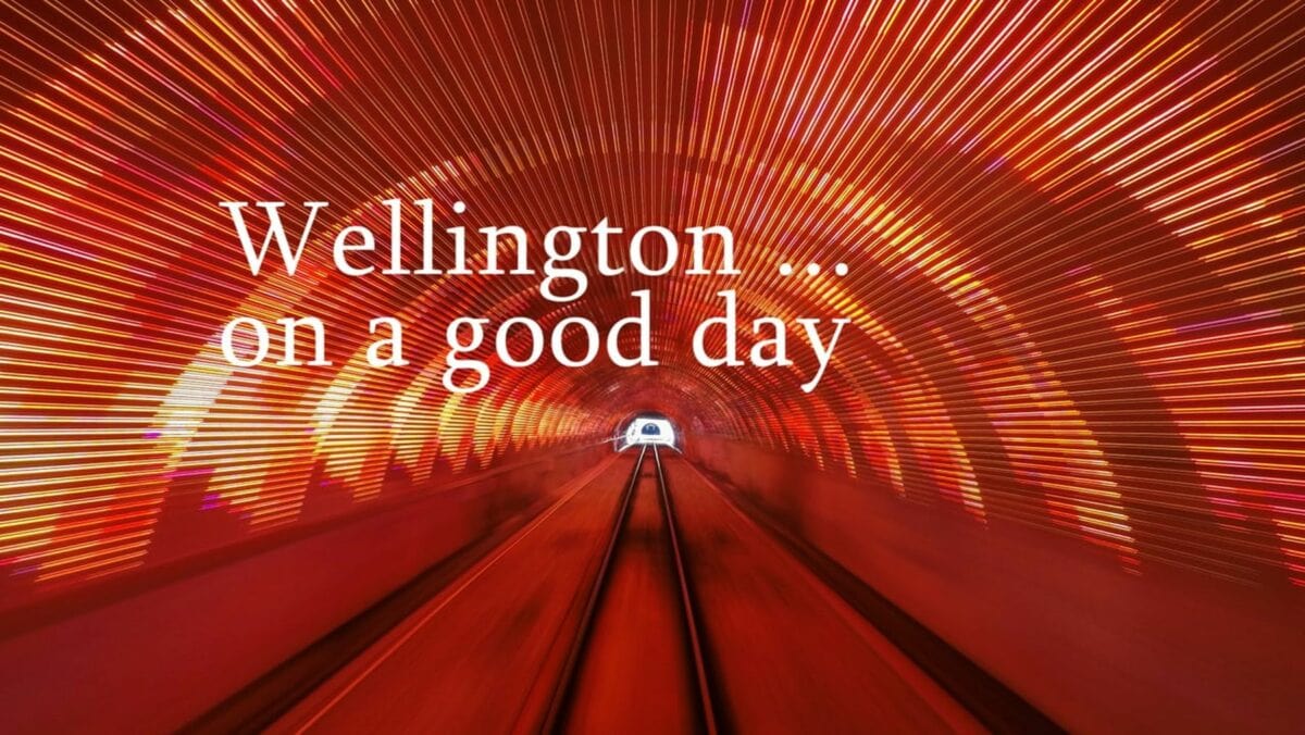 Wellington in a good day Was is hier eigentlich los