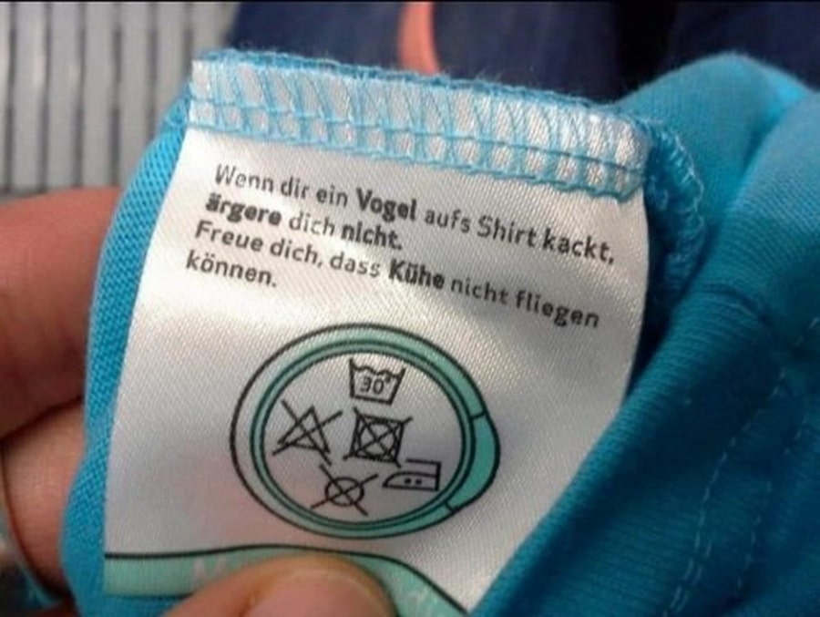 Zum Gl&uuml;ck k&ouml;nnen K&uuml;he nicht fliegen | Lustiges | Was is hier eigentlich los?