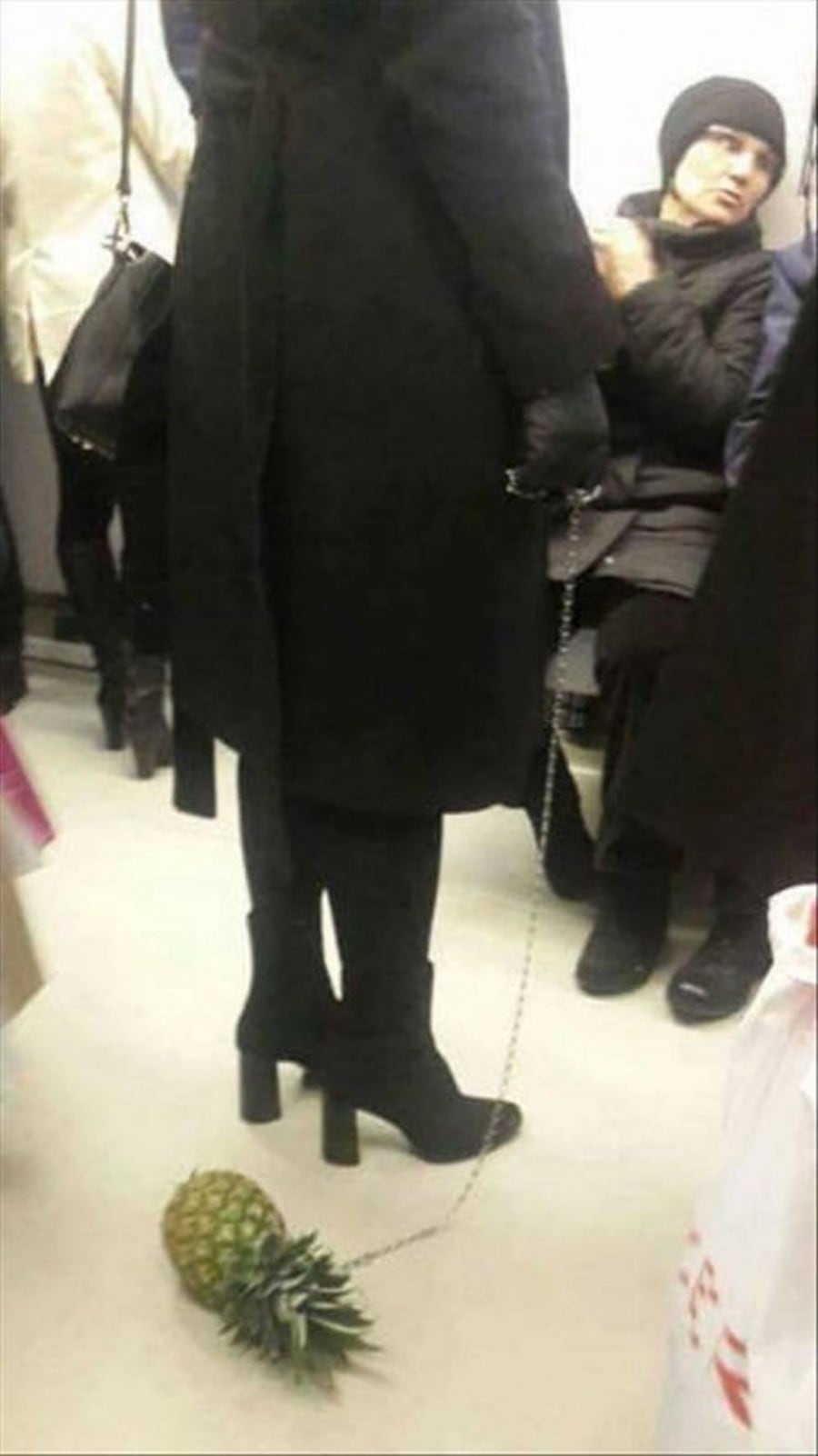 Am Wochenende ruhig auch mal wieder mit der Ananas Gassi gehen | Lustiges | Was is hier eigentlich los?