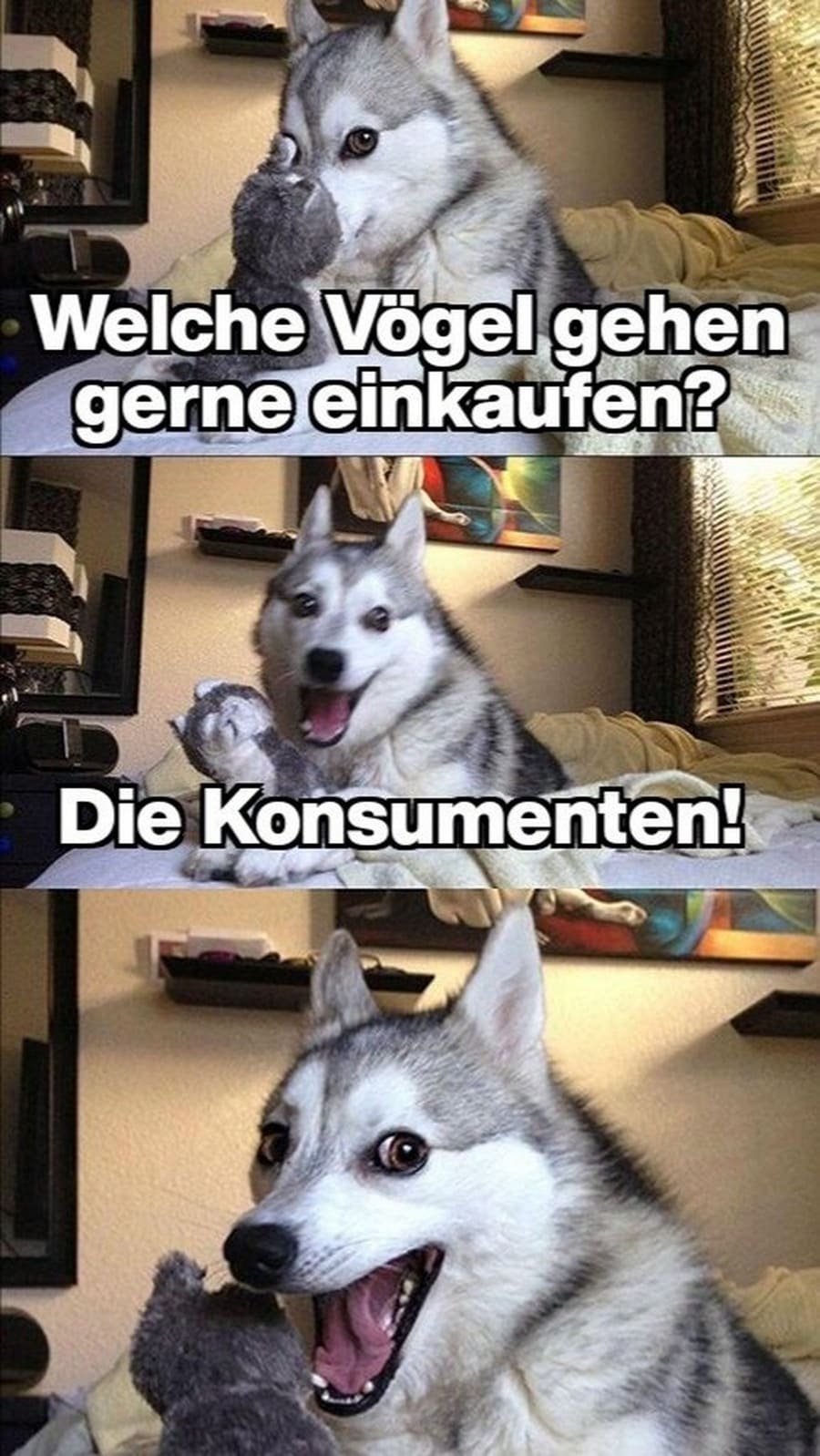 Flachwitz der Woche | Lustiges | Was is hier eigentlich los?