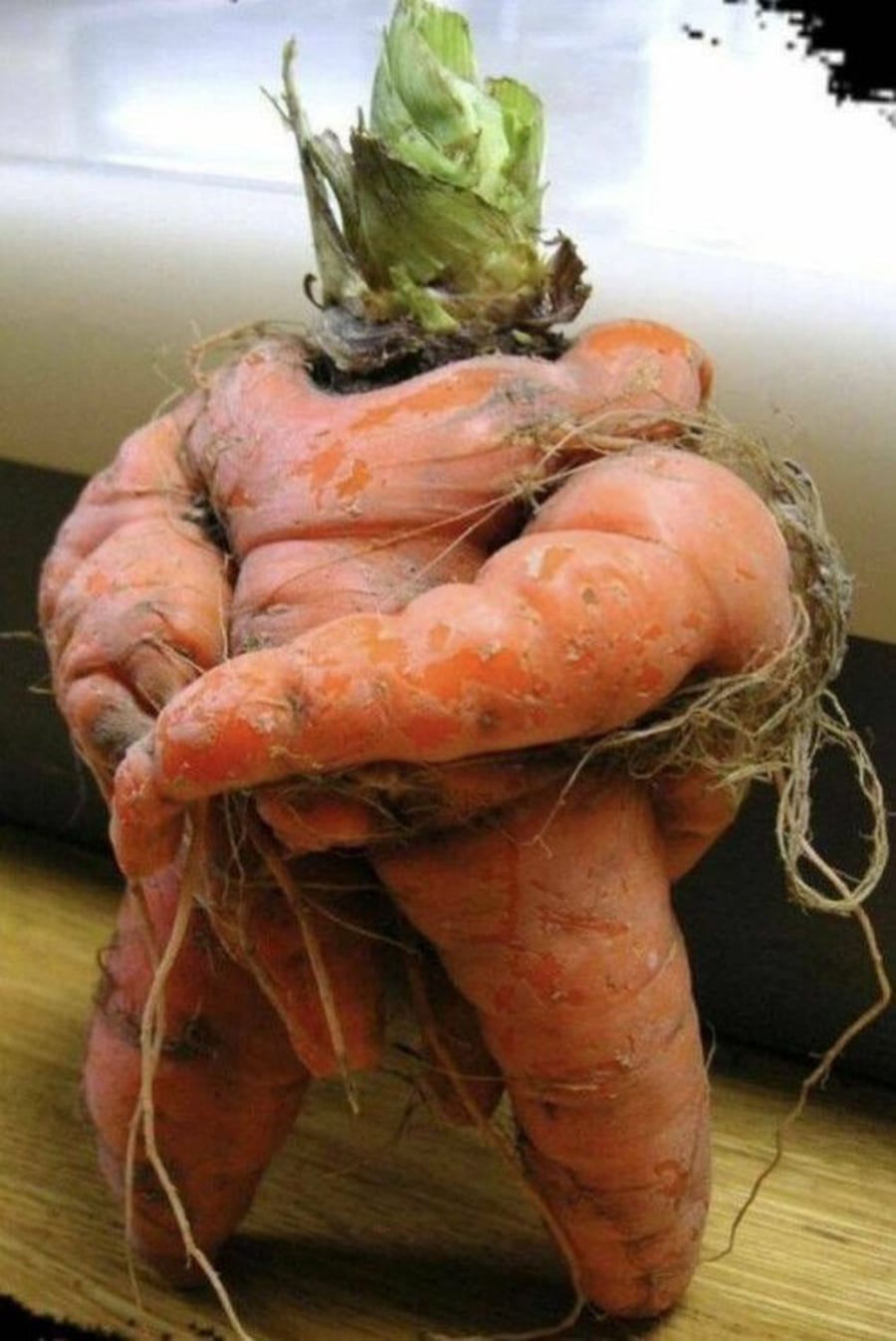 War wohl fr&uuml;her mal T&uuml;rsteher | Lustiges | Was is hier eigentlich los?