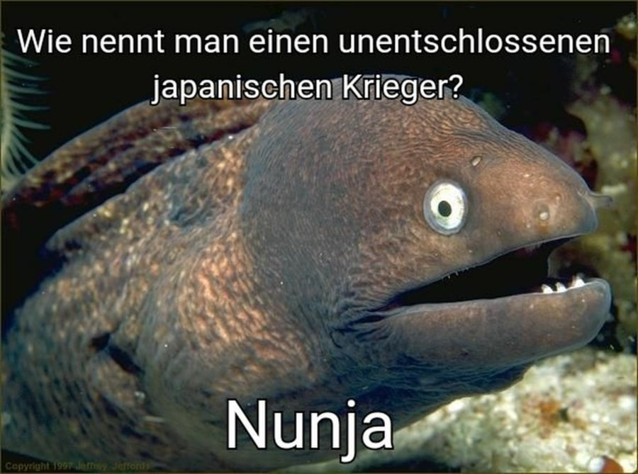 Flachwitz der Woche | Lustiges | Was is hier eigentlich los?