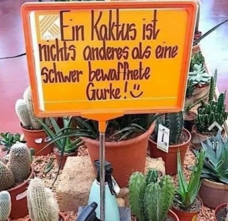 Ein Kaktus ist eigentlich auch nur eine Gurke | Lustiges | Was is hier eigentlich los?