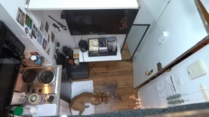 Nur ein Apartment in New York f&uuml;r 650 Dollar | Menschen | Was is hier eigentlich los?