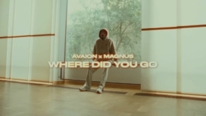 AVAION, MAGNUS - Where did you go | Musik | Was is hier eigentlich los?