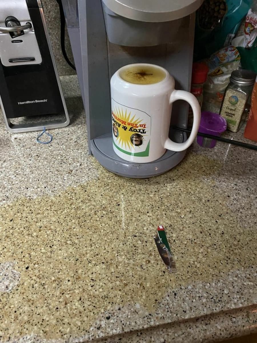 Klassischer Montag | Lustiges | Was is hier eigentlich los?