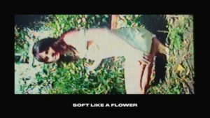 Cherry Glazerr - Soft Like a Flower | Musik | Was is hier eigentlich los?