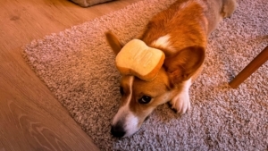 Das war meine Woche KW 39 / 2023 | Alltagsgeschichten | Was is hier eigentlich los?