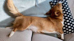 Das war meine Woche KW 40 / 2023 | Alltagsgeschichten | Was is hier eigentlich los?