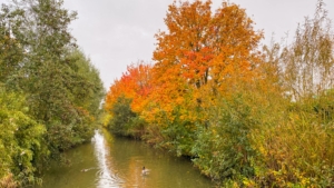 Das war meine Woche KW 44 / 2023 | Alltagsgeschichten | Was is hier eigentlich los?