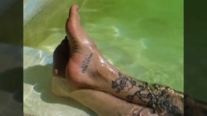 Maribou State - Blackoak | Musik | Was is hier eigentlich los?