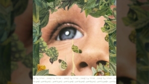 Seed to Tree - Overhyped | Musik | Was is hier eigentlich los?