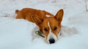 Das war meine Woche KW 49 /2023 | Alltagsgeschichten | Was is hier eigentlich los?