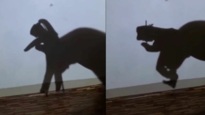 Die gro&szlig;artige Schattenkunst von Ace Philip Jos&eacute; Galit | Design/Kunst | Was is hier eigentlich los?