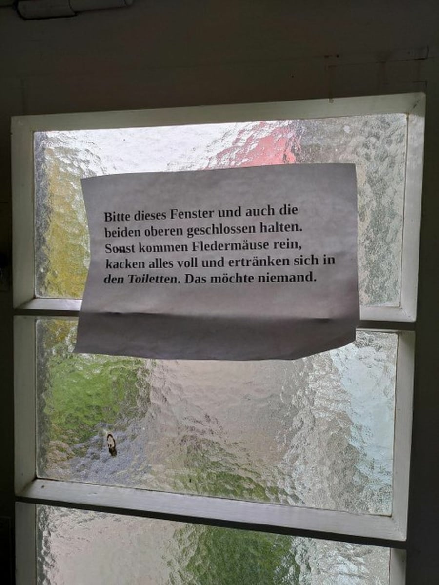 Irgendwie ganz sch&ouml;n krasse Flederm&auml;use | Lustiges | Was is hier eigentlich los?