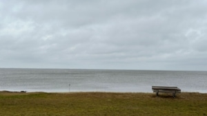 Das war meine Woche KW 01 / 2024 | Alltagsgeschichten | Was is hier eigentlich los?