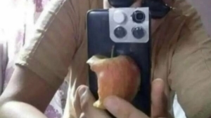 iPhone auf Wish bestellt | Lustiges | Was is hier eigentlich los?