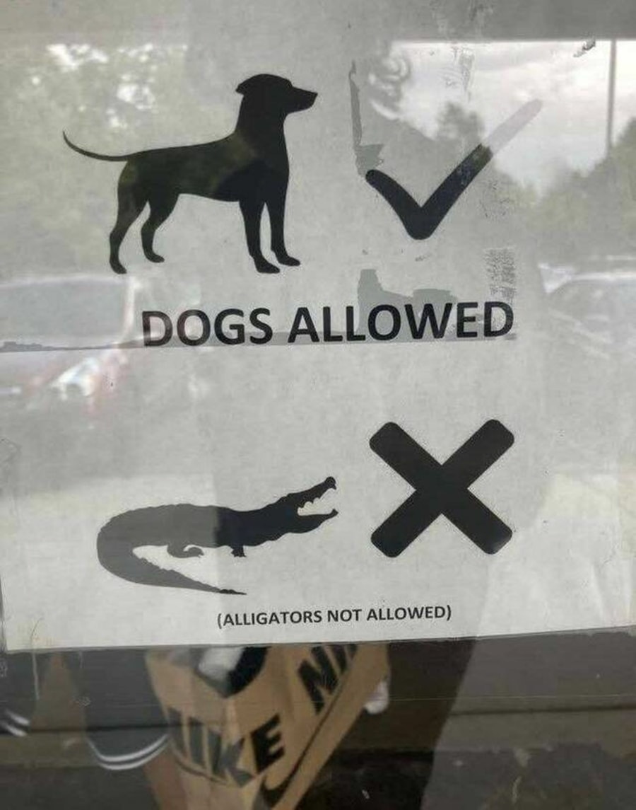 Ist das schon Alligator-Rassismus? | Lustiges | Was is hier eigentlich los?