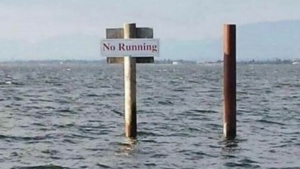 nIcHtS DaRf mAn mEhR! | Lustiges | Was is hier eigentlich los?