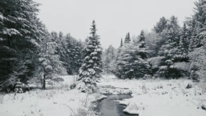 Freak, wer seine Oreos anders isst | Lustiges | Was is hier eigentlich los?
