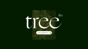Tree.fm | Musik | Was is hier eigentlich los?