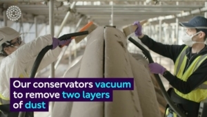 10 Jahre alten Staub von Wal-Skeletten entfernen | Was gelernt | Was is hier eigentlich los?