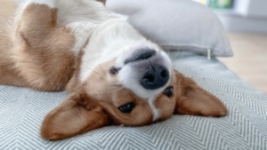 Das war meine Woche KW 07 / 2024 | Alltagsgeschichten | Was is hier eigentlich los?