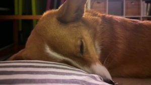 Das war meine Woche KW 09 / 2024 | Alltagsgeschichten | Was is hier eigentlich los?