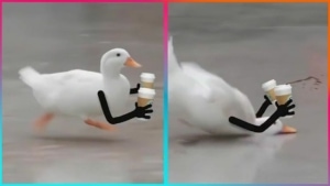 Die besten V&ouml;gel mit Armen von LeopARTnik | Lustiges | Was is hier eigentlich los?