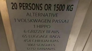 Falls mal jemand 454 Chihuahuas in einen Aufzug stecken will ... | Lustiges | Was is hier eigentlich los?