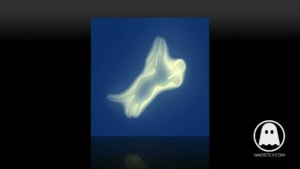 Bullion - Rare | Musik | Was is hier eigentlich los?