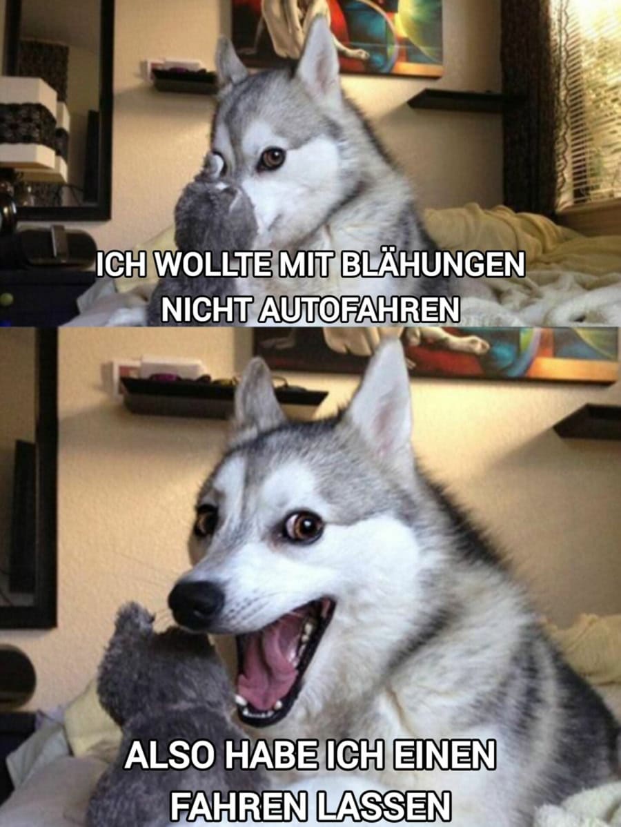 Flachwitz der Woche | Lustiges | Was is hier eigentlich los?